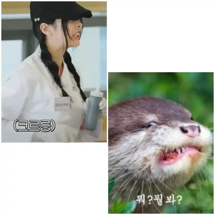 DDtIDGjSLxk