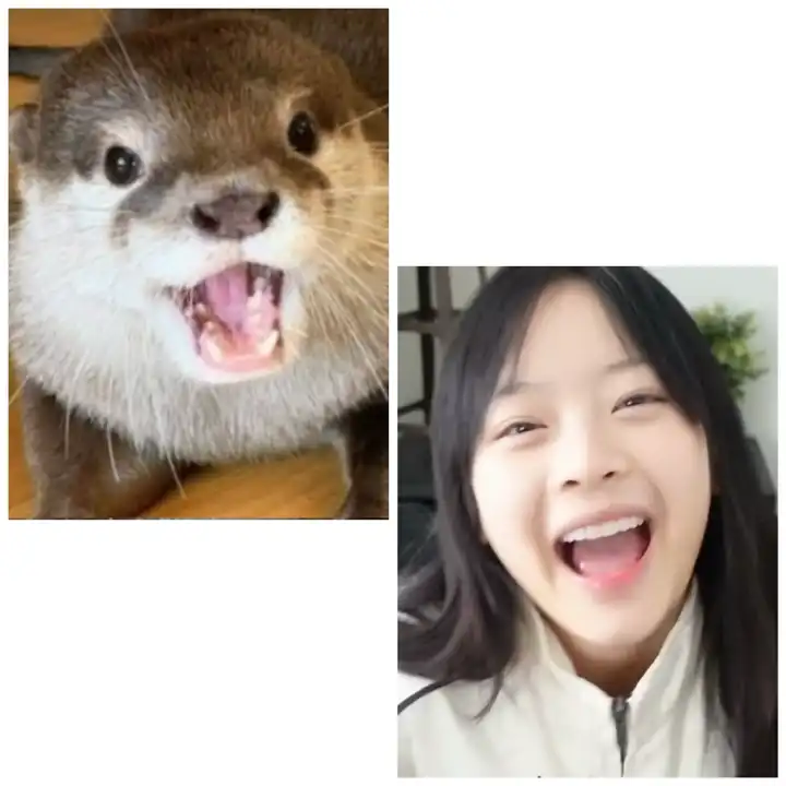 DEJJOyJTdNZ
