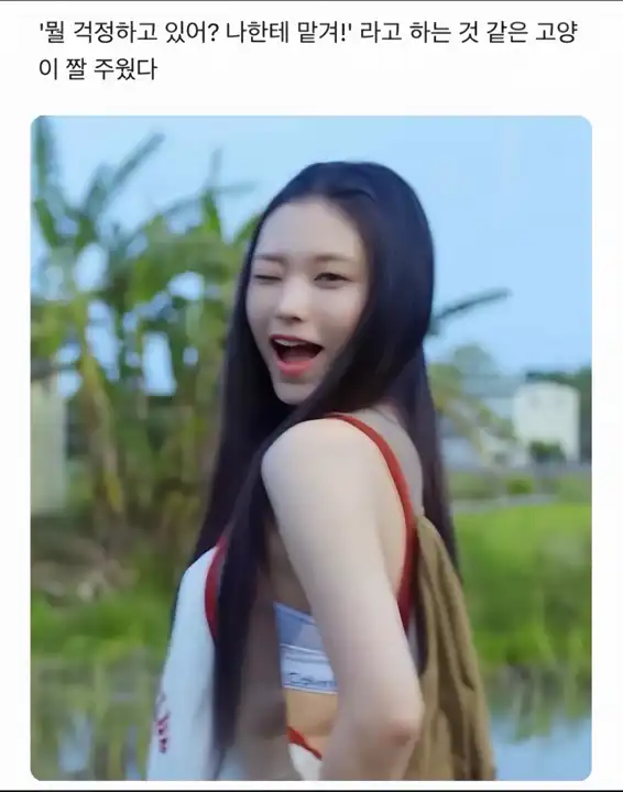 DVcWgMykihC