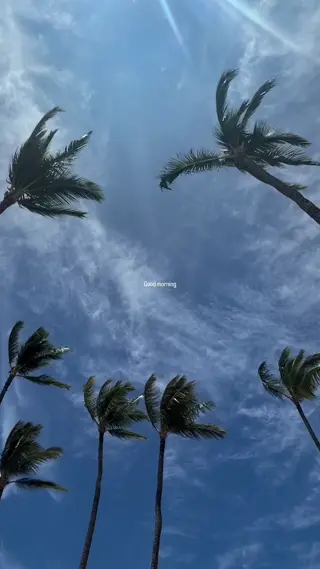 17959174764229870